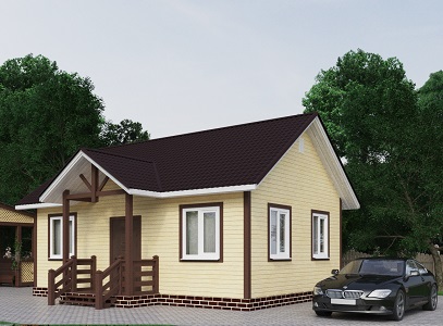 Купить дом 8 на 8 в Топках цена от 847503 руб